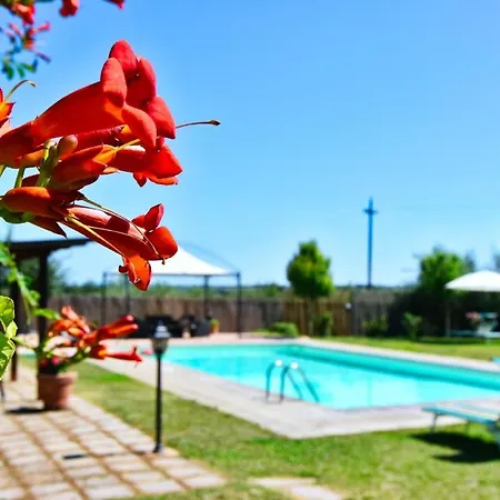 Ferienhaus Fuer 20 Personen In Cortona, Trasimenischer See Cortona
