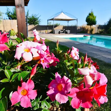 Holiday home Ferienhaus Fuer 20 Personen In Cortona, Trasimenischer See *
