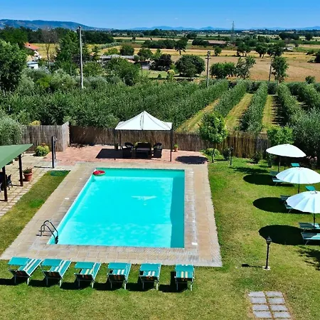 Holiday home Ferienhaus Fuer 20 Personen In Cortona, Trasimenischer See